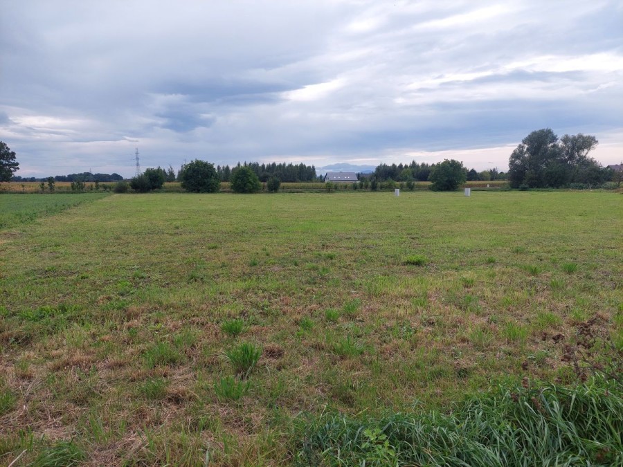 powiat wrocławski, Małuszów, Wschodnia, Duża działka 10 min od Wrocławia | MPZP | media