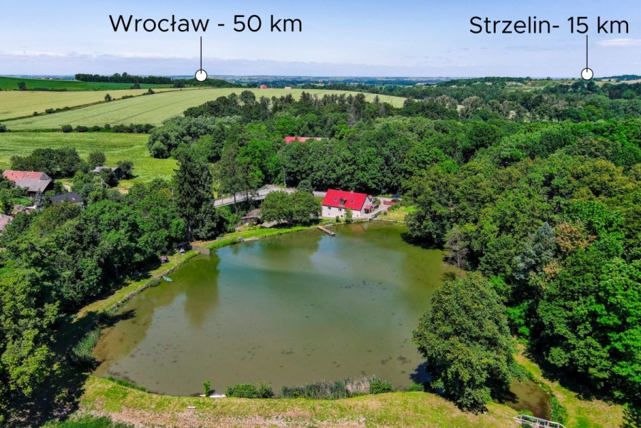 Błotnica, Wójcin, Dom ze stawem, lasem i rzeką | po remoncie