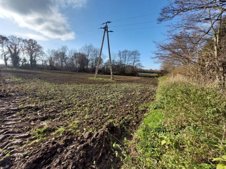 powiat wrocławski, Gniechowice, Kątecka, Działka rolna | odpoczynek pod miastem | łąka