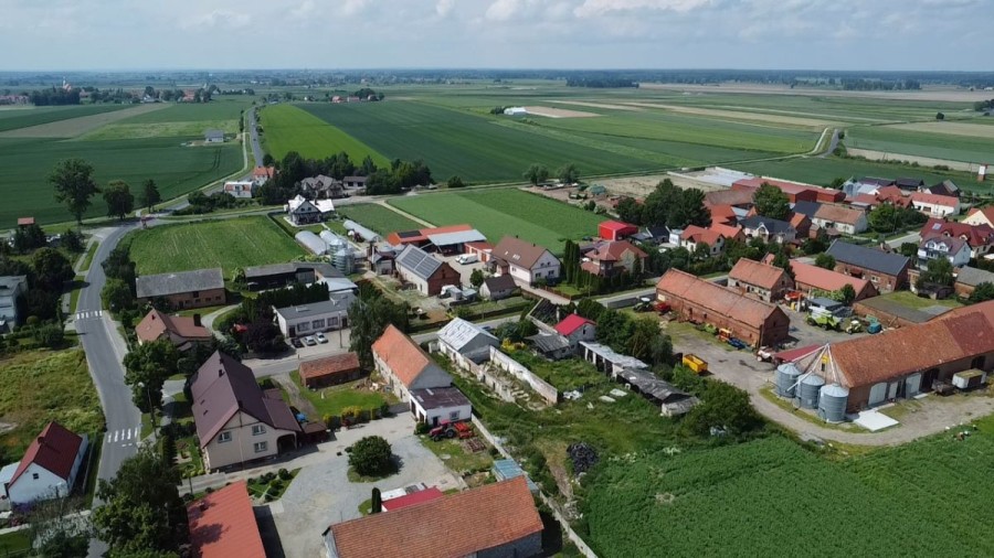 powiat trzebnicki, Przedkowice, Duża działka z domem do rozbiórki lub remontu
