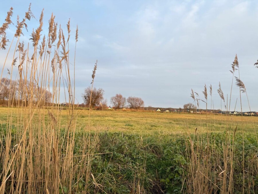 powiat wrocławski, Oleśniczka, Działki rolne na sprzedaż | bliskość rzeki